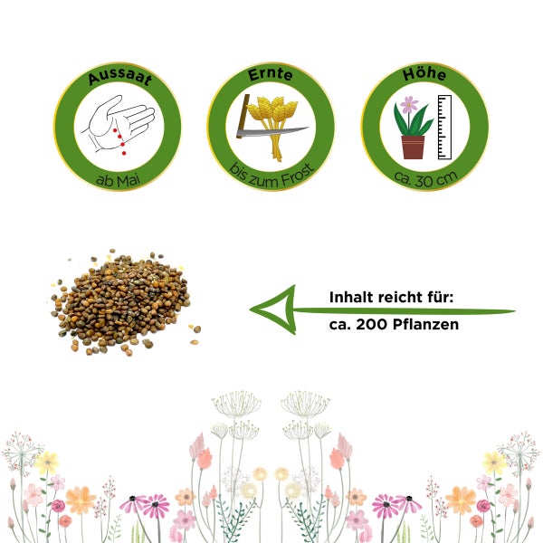 Salatrauke Samen von Deine Gartenwelt