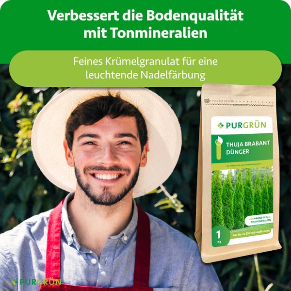 Gärtner mit Hut neben einer Packung Purgrün Thuja Brabant Dünger mit Tonmineralien für verbesserte Bodenqualität und kräftige Nadelfärbung.