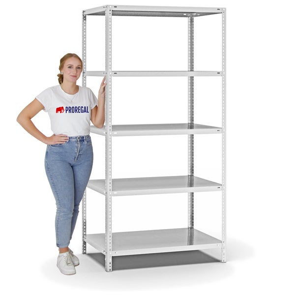 PROREGAL Fachbodenregal Schraubsystem Light-Duty Grundregal HxBxT 200 x 100 x 60 cm 5 Ebenen Fachlast 125 kg Beidseitig Nutzbar Lichtgrau