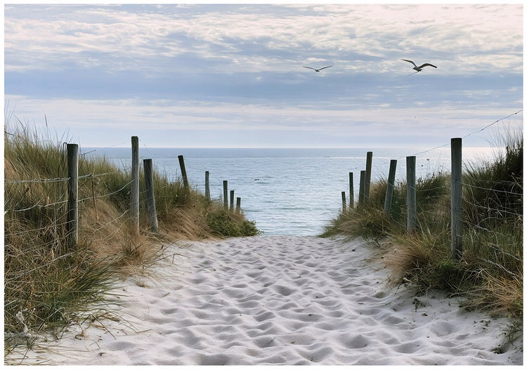 Ein Sandweg führt durch Dünen mit Holzzaun zum Meer bei bewölktem Himmel mit fliegenden Möwen.
