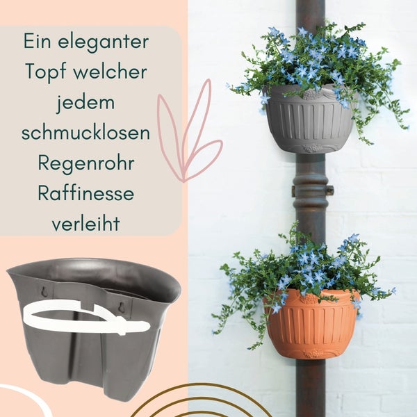 Regenrohr-Blumentöpfe mit Bepflanzung an einem Regenrohr