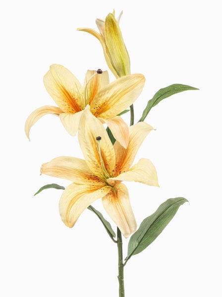 Künstliche Lilie mit gelben Blüten, grünem Stiel und Blättern zur Dekoration.