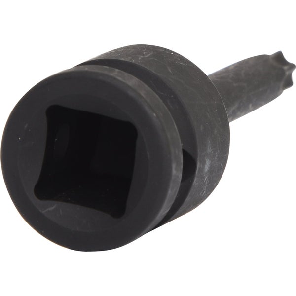 Torx-Einsatz mit Vierkantantrieb