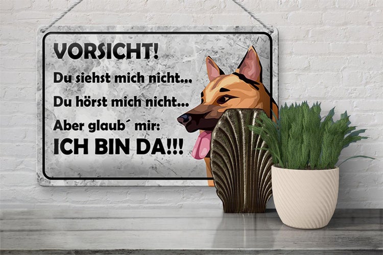 Blechschild Spruch 30x20cm Vorsicht Hund Du siehst mich nicht