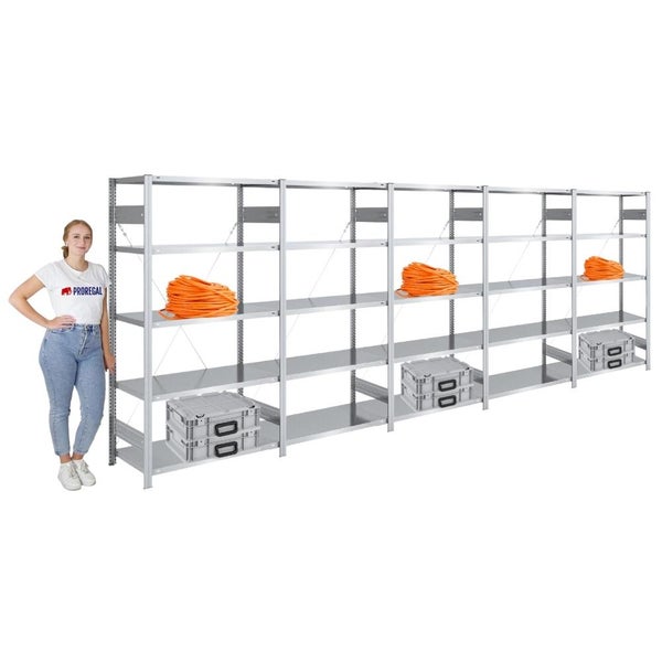 PROREGAL Schwerlastregal Silver Mamba Made In Germany  HxBxT 200 x 500 x 50 cm 5 Ebenen Je 150 kg Fachlast  Verzinkt