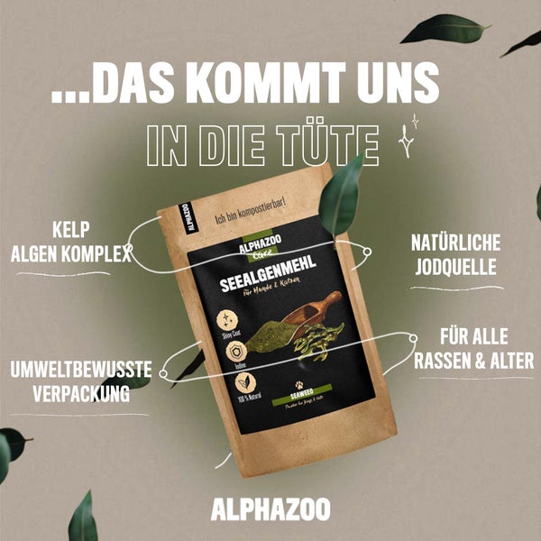 ALPHAZOO Seealgenmehl 250g für Hunde und Katzen I Ascophyllum Nodosum Seealgen