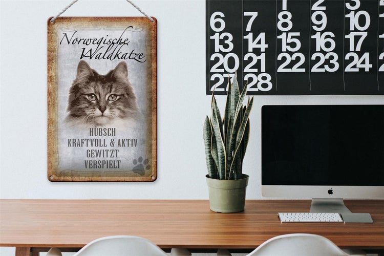Blechschild Spruch 20x30cm norvegische Waldkatze Katze Wanddeko