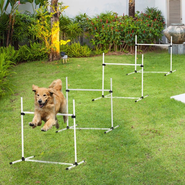 PawHut Agility-Ausrüstung, L99 x B65 x H94cm, Kunststoff, Weiß