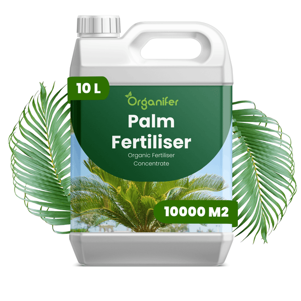 Organifer Palmen-Dünger Konzentrat, organischer Dünger für 10000 Quadratmeter, 10 Liter Kanister.