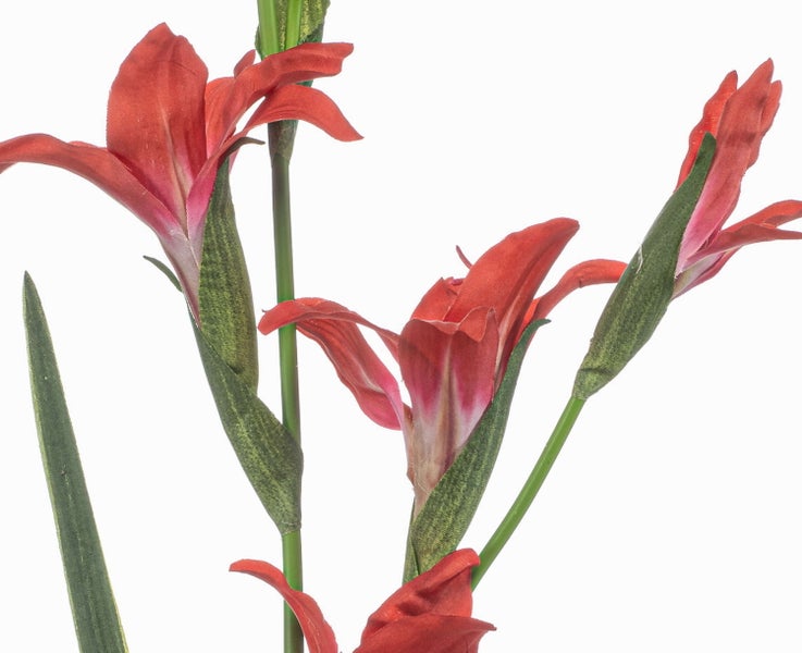 Künstliche Gladiole mit roten Blüten und grünem Blatt.