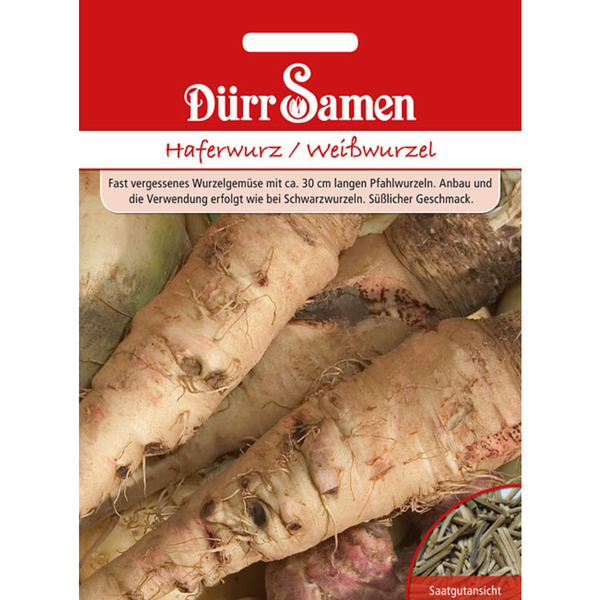 Haferwurz / Weißwurzel Saatgut von Dürr Samen