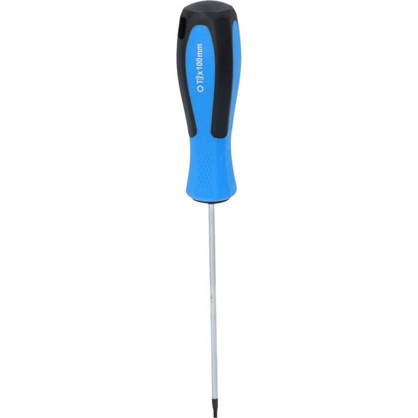 Schlitzschraubendreher mit 100 Millimeter Klingenlänge und blau-schwarzem Griff