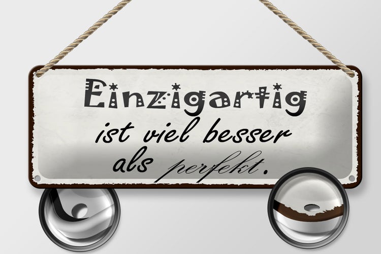 Blechschild Spruch 27x10cm einzigartig besser als perfekt Dekoration