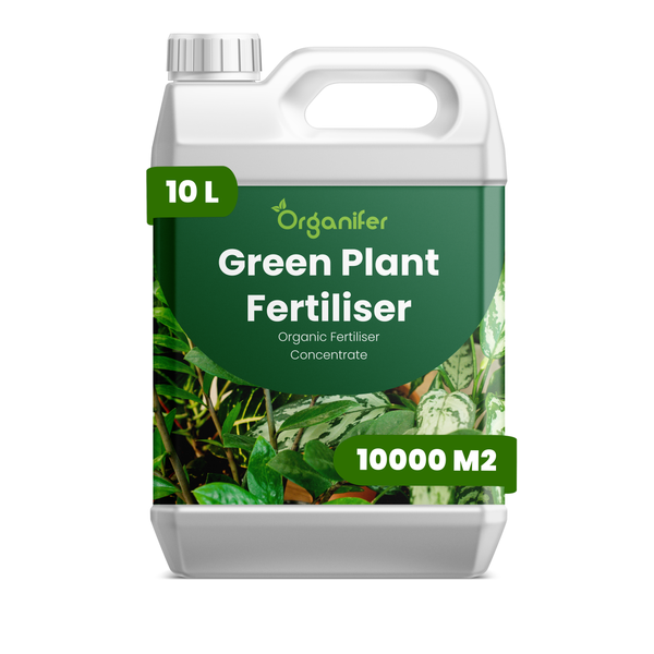 Organifer Bio-Pflanzendünger Konzentrat für Grünpflanzen, 10 Liter Kanister für 10000 Quadratmeter.