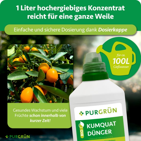 Purgrün Kumquat-Dünger 1 Liter Konzentrat für circa 100 Liter Gießwasser, mit Dosierkappe und Abbildung eines Kumquatbaums mit Früchten.