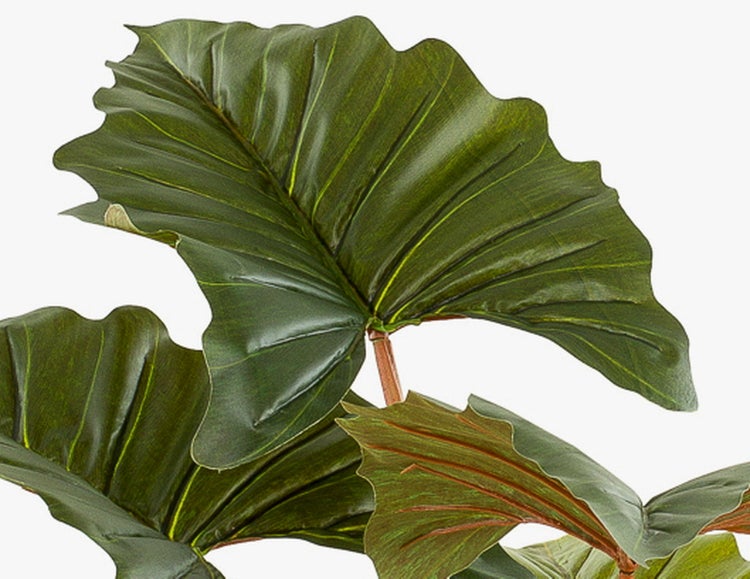 Detailaufnahme einer Kunstpflanze mit großen, gerippten grünen Blättern und sichtbaren Blattadern.