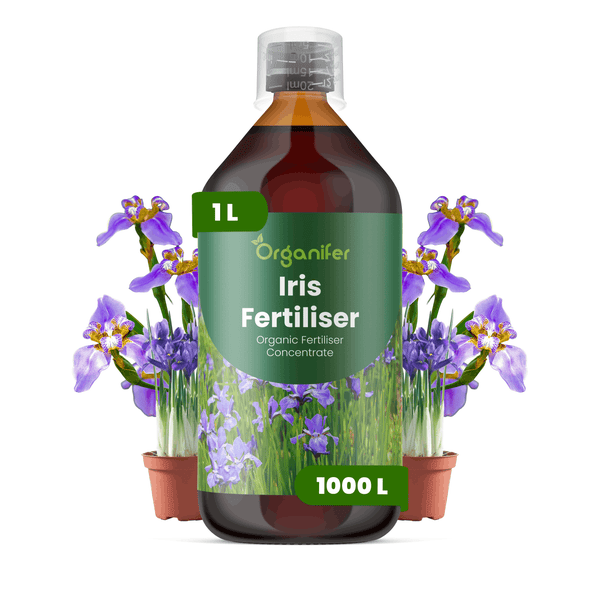 Organifer Iris Dünger, 1 Liter Flasche organisches Düngerkonzentrat für Schwertlilien.