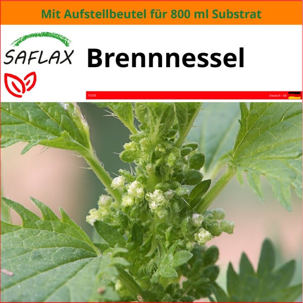 SAFLAX Garden in the bag - Brennnessel - Urtica urens - 150 Samen - Mit Anzuchtsubstrat im praktischen, selbst aufstellenden Beutel