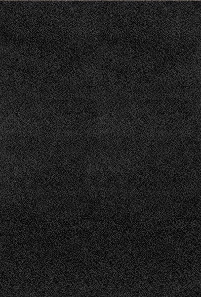 Moderner Hochfloriger Shaggy Teppich Schwarz 100x200 cm LILLY