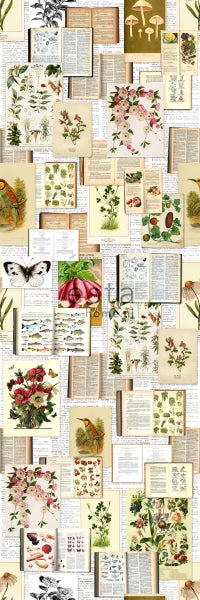 ESTAhome Fototapete botanische Motive Beige, Grün und Rosa - 100 x 279 cm - 158508