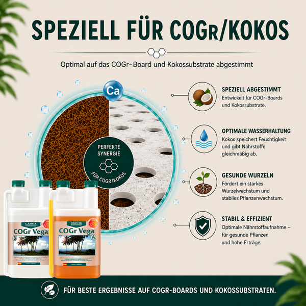 Infografik zeigt CANNA COGr Vega Pflanzendünger für Kokossubstrate mit Informationen zu Nährstoffaufnahme, Wurzelwachstum und Wasserhaltung.