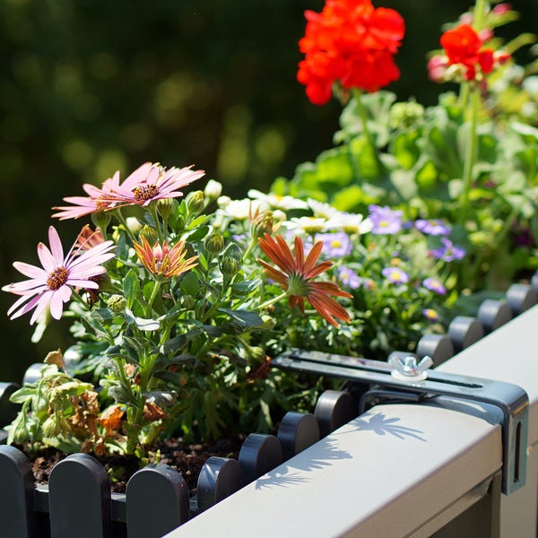 Balkonkastenhalterung mit bepflanztem Balkonkasten und verschiedenen Sommerblumen an einem Balkongeländer