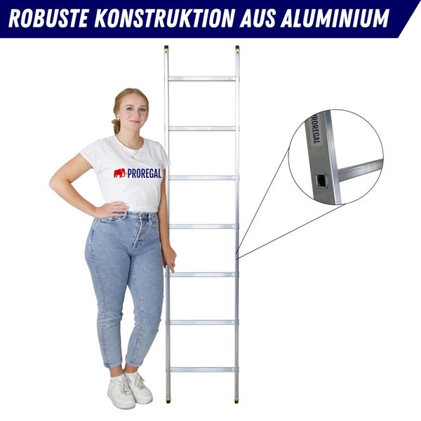 Aluminium Bockleiter mit einer Frau