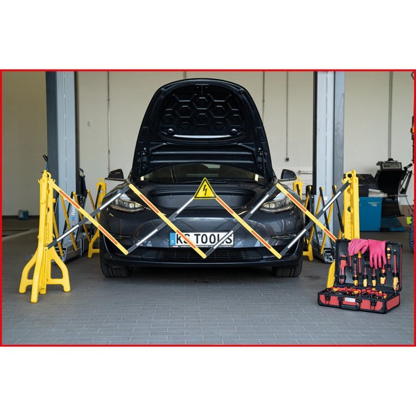 Nahaufnahme von rosafarbenen Grasnelkenblüten im Garten