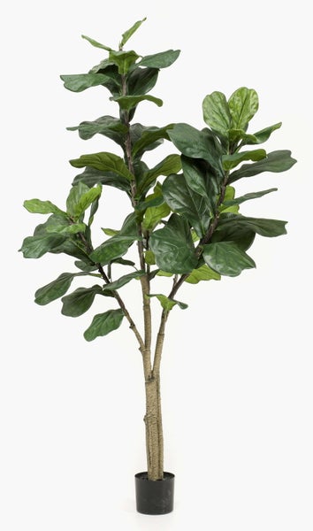 Kunstbaum Ficus Lyrata ENRIKO, Kunststamm, grün, 180cm - Deko Ficus Baum - Zier Baum Ficus
