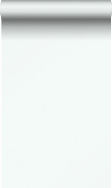 Rolle mit weißer Raufasertapete