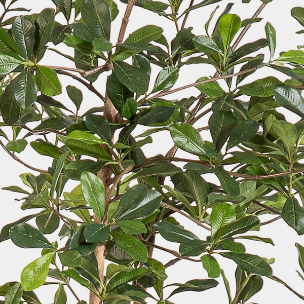 Dekorative Zweige aus Naturholz in einem dunklen zylindrischen Topf.