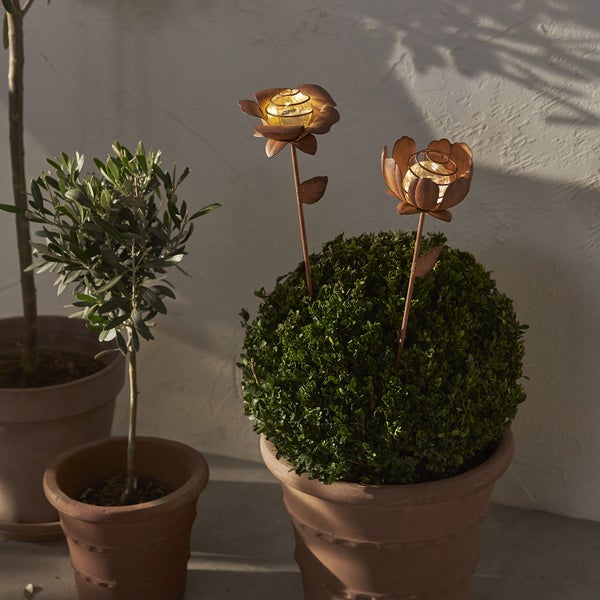 Szene mit Pflanzen und zwei Rosen-Gartensteckern mit LED-Beleuchtung in Tontöpfen.