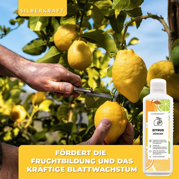 SILBERKRAFT Zitrusdünger – Für Zitronen & Co. – NPK Flüssigdünger – 1 Liter