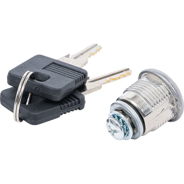 Hebelzylinder für Briefkästen oder Möbel mit zwei passenden Schlüsseln am Schlüsselring aus Metall und Kunststoff.