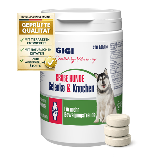 GIGI Nahrungsergänzung Gelenke und Knochen für große Hunde, 240 Tabletten, mit Tierärzten entwickelt, natürliche Inhaltsstoffe, geprüfte Qualität.