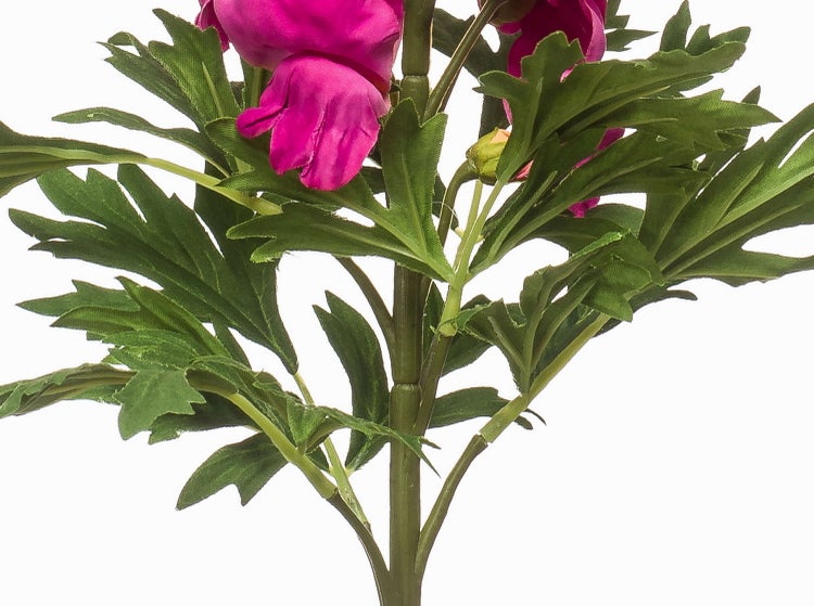 Künstliche Hortensie im schwarzen Topf mit weißen Blüten und grünen Blättern.