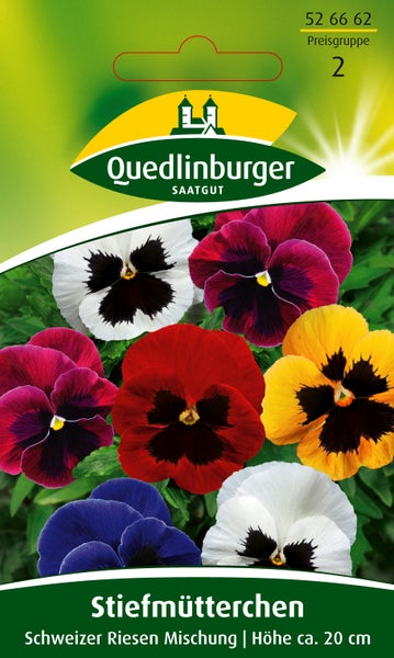 Quedlinburger Saatgut Logo, Samentüte für Stiefmütterchen der Sorte Schweizer Riesen Mischung mit einer Wuchshöhe von circa 20 Zentimetern.
