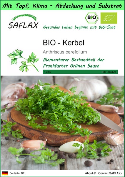 SAFLAX Garden to go - BIO - Kerbel - Anthriscus cerefolium - 800 Samen - Mit Topf, Klima - Deckel und Anzuchtsubstrat