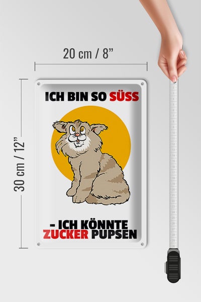 Blechschild Spruch 20x30cm Bin süß könnte Zucker pupsen (Katze)