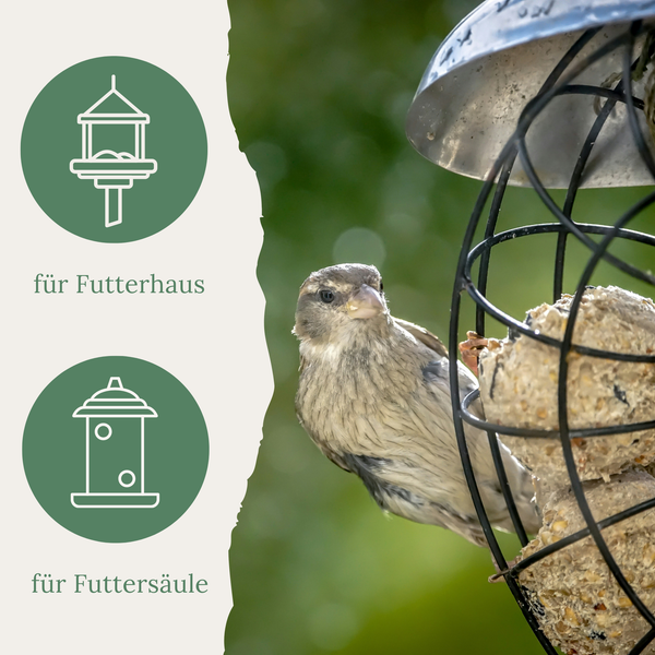 Sperling an einer Futterstelle mit Symbolen für Futterhaus und Futtersäule