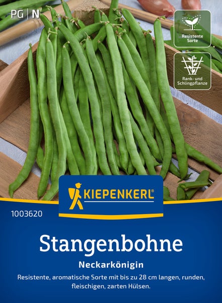 Kiepenkerl Stangenbohne Neckarkönigin Samen. Robuste und aromatische Sorte mit langen, runden und zarten Bohnenhülsen.