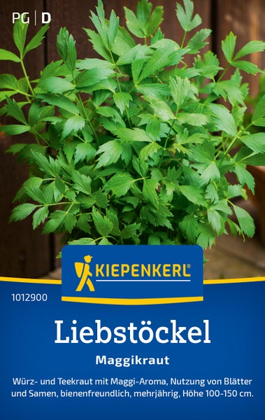 Liebstöckel oder Maggikraut Pflanze als mehrjähriges Gewürzkraut mit Kiepenkerl Logo