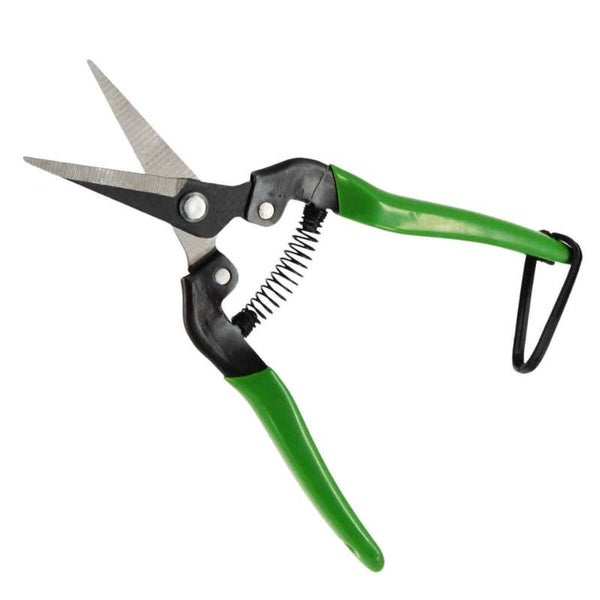 Blumenschere