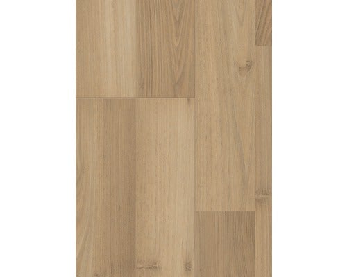 Laminat 8.0 Akazie Cornsilk 35063 MO