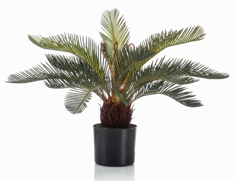 Künstliche Palmenpflanze Cycas im schwarzen Kunststofftopf mit gefiederten grünen Blättern.