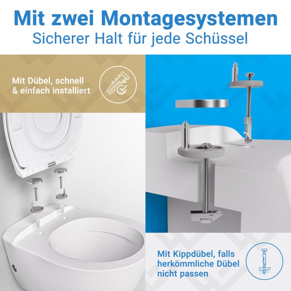 Infografik zeigt zwei Montagesysteme für einen WC-Sitz: Standard-Dübel zur schnellen Installation und Kippdübel für universellen Halt.