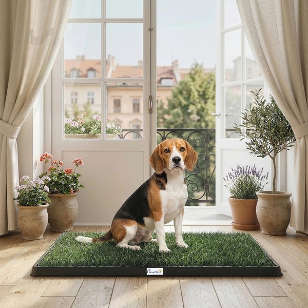 Beagle sitzt auf einer Hundetoilette mit Kunstrasen auf einem Holzboden in einem hellen Zimmer vor einer offenen Balkontür. PawHut Logo.