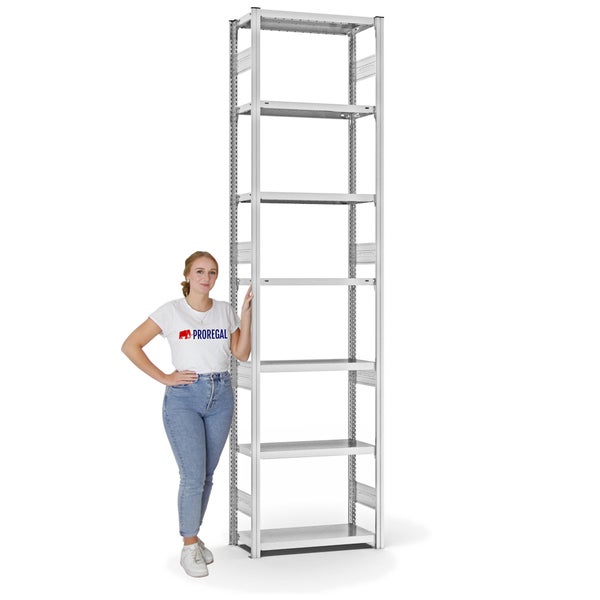 PROREGAL Fachbodenregal Stecksystem T-Profil Heavy-Duty Grundregal HxBxT 300 x 75 x 30 cm 7 Ebenen Fachlast 300 kg Beidseitig Nutzbar Lichtgrau