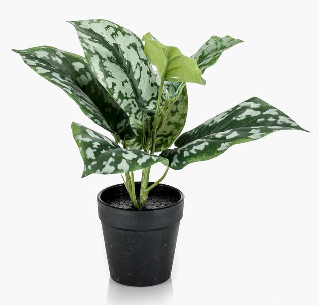 Nahaufnahme einer großen künstlichen Rose aus Textil in Pfirsichfarben.