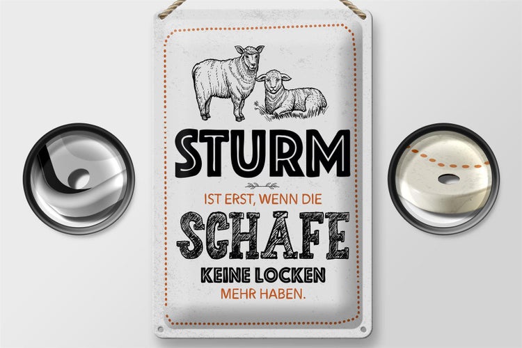 Blechschild Spruch lustig Sturm wenn Schafe Locken 20x30cm